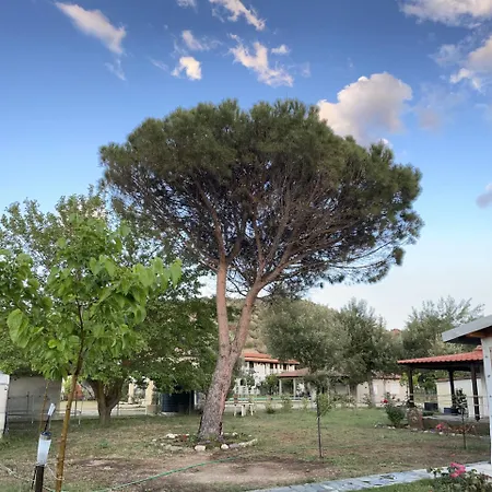 Alva Sykia Chalkidikis